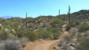 PICTURES/Hiking The Dixie Mine Trail/t_Trail Shot.JPG